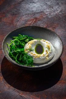 The Mavro Experience